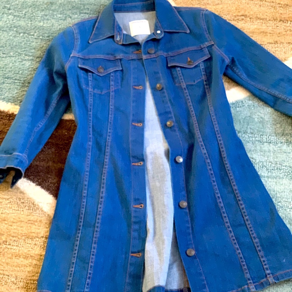 Zara button up blue Jean dress
